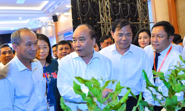 Thủ tướng Nguyễn Xuân Phúc tìm hiểu giống cây Mắc ca
