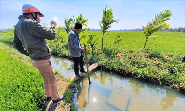 Kênh thủy lợi thấp hơn mặt ruộng