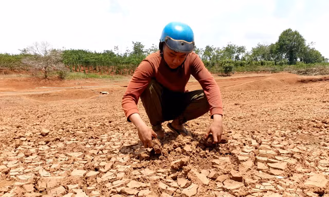 Người dân Đắk Lắk tìm nước giữa đại hạn