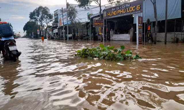 Cần Thơ: Chống ngập không nhất quán, nâng đường rồi nhà phải nâng theo