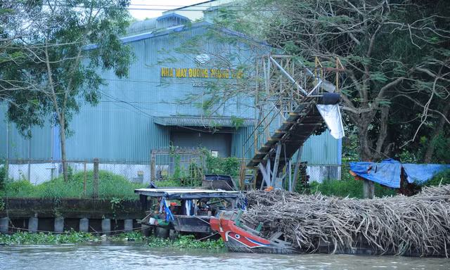 Nhà máy đường ở miền Tây tiếp tục dừng sản xuất, lỗ 20 tỷ đồng