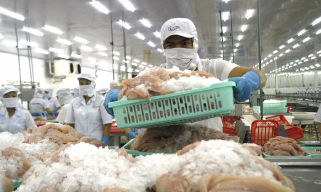 EU, Nhật Bản, Hàn Quốc sắp sang Việt Nam thanh tra về thủy sản 