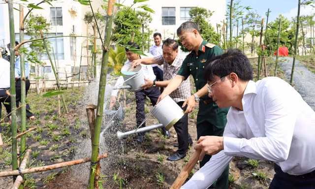 270 cây tre từ Lăng Bác được trồng tại Đền thờ Vua Hùng thành phố Cần Thơ