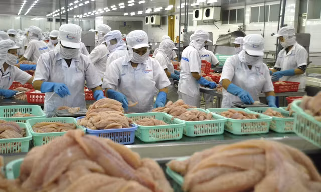 Xuất khẩu thủy sản cán đích 10 tỷ USD, nhưng... 