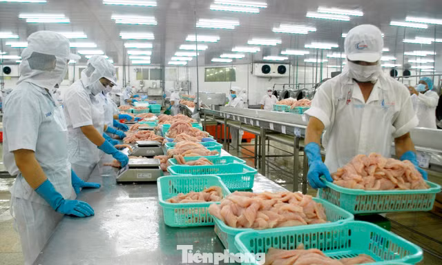 Doanh nghiệp nêu loạt kiến nghị quan trọng trước áp lực thuế Mỹ 