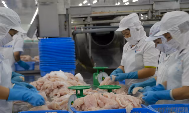 Vượt Brazil, Mexico trở thành thị trường XK cá tra lớn nhất của Việt Nam tại Mỹ Latinh