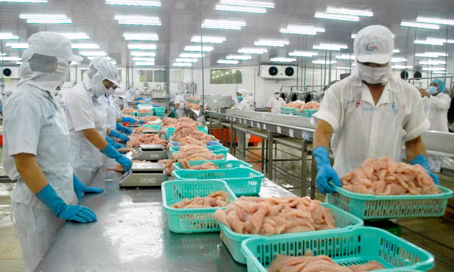 Xuất khẩu thủy sản hạ nhiệt do khan hiếm nguyên liệu 