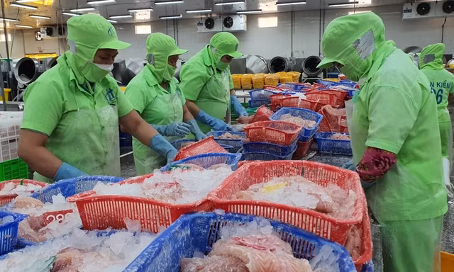 Doanh nghiệp 'kêu' phải tiếp quá nhiều đoàn thanh tra