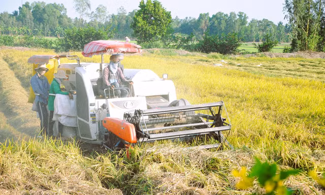 25- 30% tổng lượng khí thải ở Việt Nam từ sản xuất nông nghiệp 