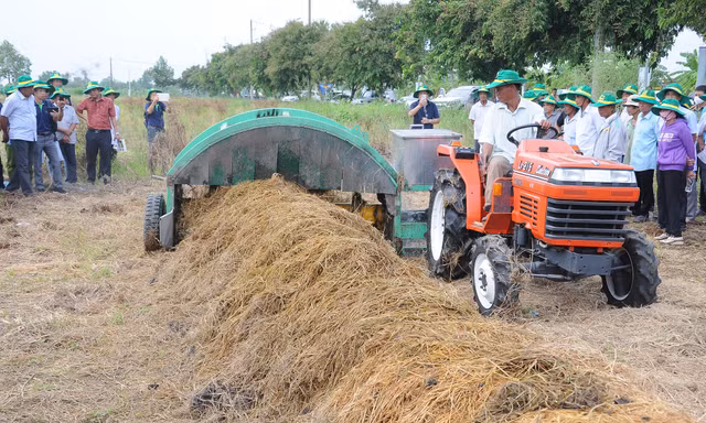 Mỗi năm Việt Nam có 47 triệu tấn rơm rạ phải 'biến thành tiền'