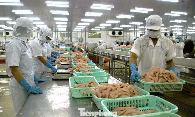 Phát lộ điểm nghẽn cản trở doanh nghiệp tư nhân