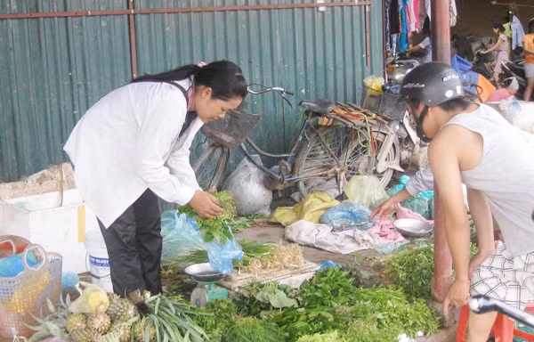 Kiểm tra formol trong cải thảo nhập từ Trung Quốc