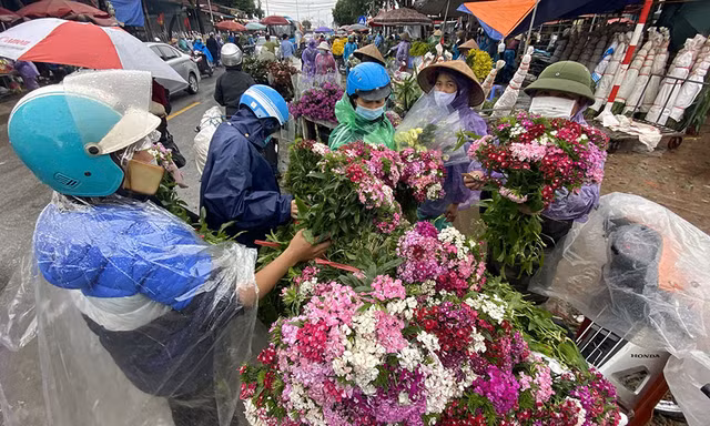 'Thủ phủ' hoa lớn nhất miền bắc tấp nập người mua bán ngày giáp Tết