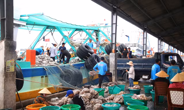 Kiên Giang gắng sức gỡ thẻ vàng IUU, hỗ trợ ngư dân