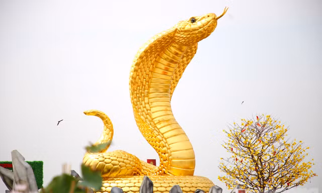 Độc đáo linh vật rắn gây 'sốt' dịp Tết tại miền Tây