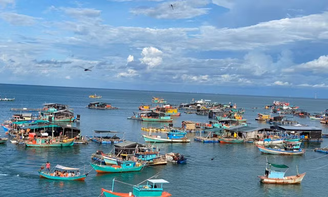 Hàng trăm tấn cá lồng bè ở Kiên Giang 'nghẽn' đầu ra do dịch COVID-19