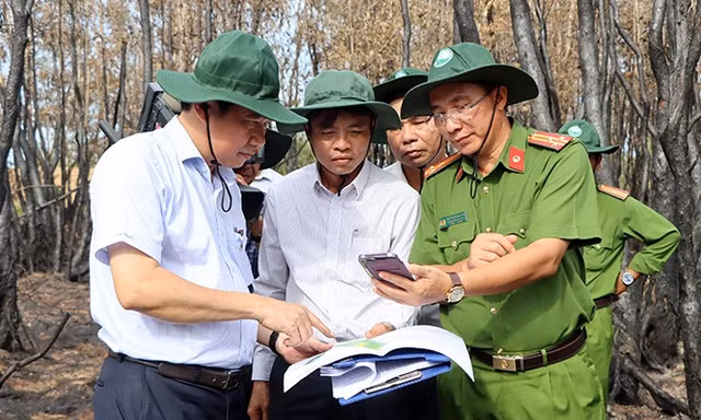 Chủ tịch Đồng Tháp yêu cầu trồng lại rừng bị cháy ở Vườn Quốc gia Tràm Chim