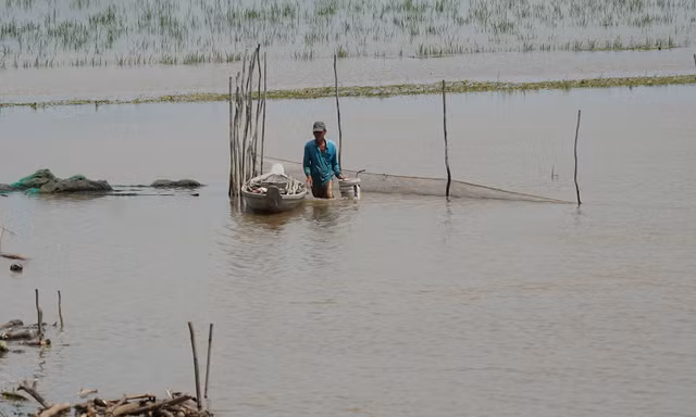 Nhộn nhịp đánh bắt, mua bán sản vật mùa nước nổi ở vùng biên An Giang
