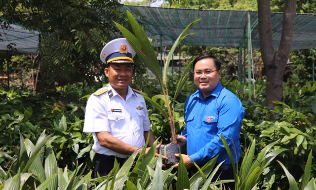 Dừa Bến Tre đến Trường Sa