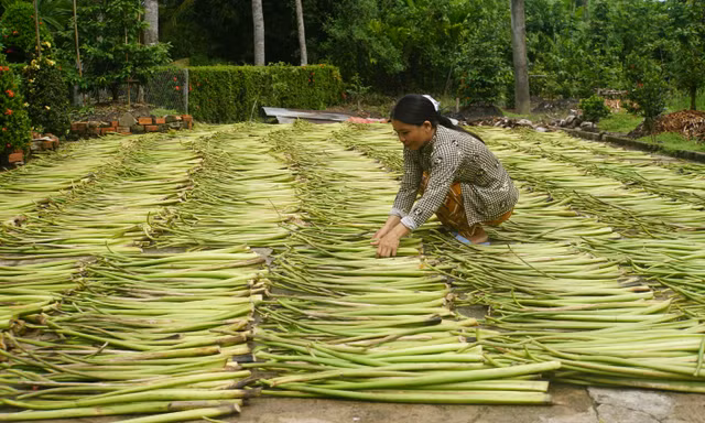 Phát triển kinh tế nông nghiệp bền vững thích ứng với biến đổi khí hậu