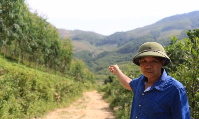 Nghịch lý ở Tuyên Quang: Đập tích nước, dân vẫn thiếu nước – mất cả ruộng lẫn rừng