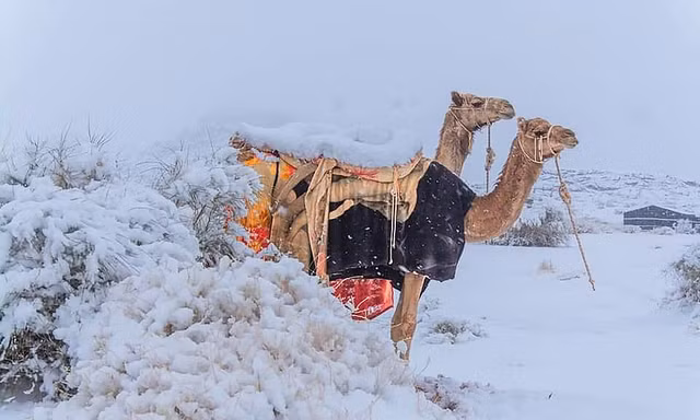 Ngỡ ngàng bộ ảnh tuyết phủ sa mạc Sahara đẹp như mơ