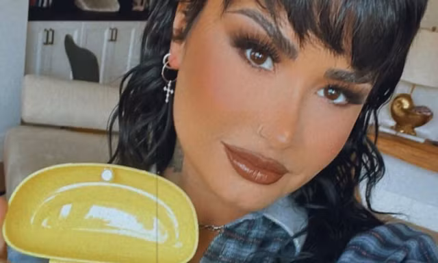 Demi Lovato bán đồ chơi tình dục mang tên mình