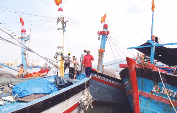 Chi phí nhiên liệu cao, tàu cá Đà Nẵng nằm bờ Ảnh: Nam Cường