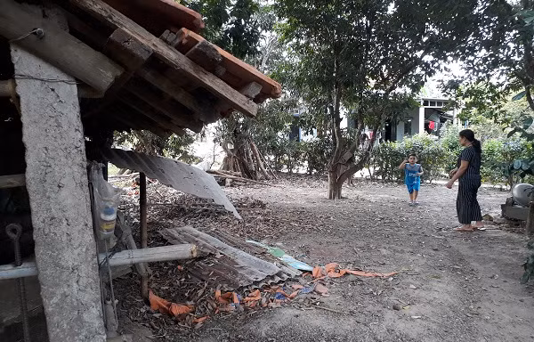 Hy hữu trộm xẻ thịt hai đùi sau bò đang mang thai ở Quảng Bình