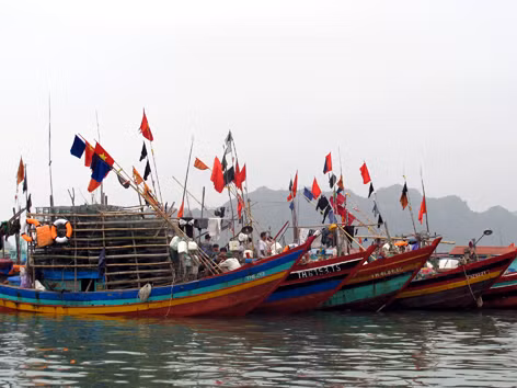 Xử lý rủi ro, tranh chấp nghề cá trên biển