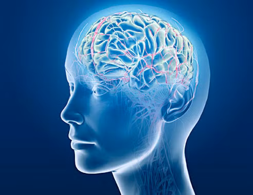 Có thể gặp nguy hiểm vì thuốc bổ trí não. Ảnh: Internet