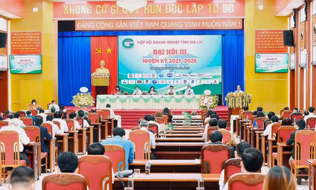 Hiệp hội Doanh nghiệp tỉnh Gia Lai phát triển hướng tới cộng đồng