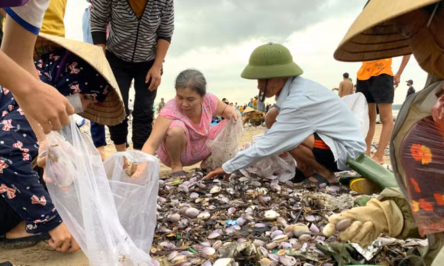 Sóng đưa 'lộc' vào bờ, người dân đổ xô đi nhặt kiếm bạc triệu chỉ trong vài giờ