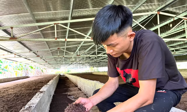 Chàng trai kiếm tiền tỉ nhờ chất thải heo