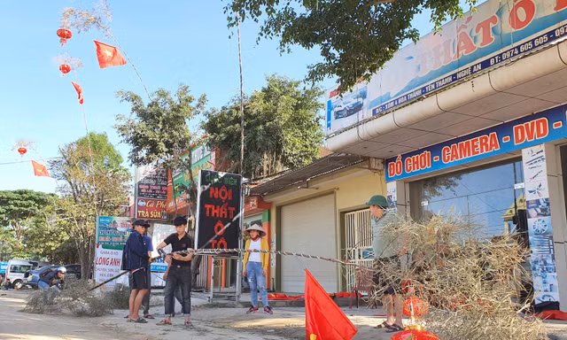 Tre xanh ồ ạt về phố, phục vụ nhu cầu dựng cây nêu đón Tết