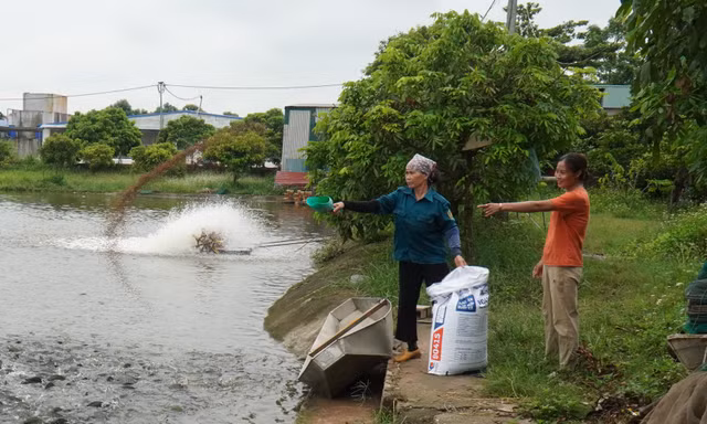 Chị Nguyễn Thị Quyên (bên phải) cải tạo vùng đất lò gạch thành trang trại tiên tỷ.