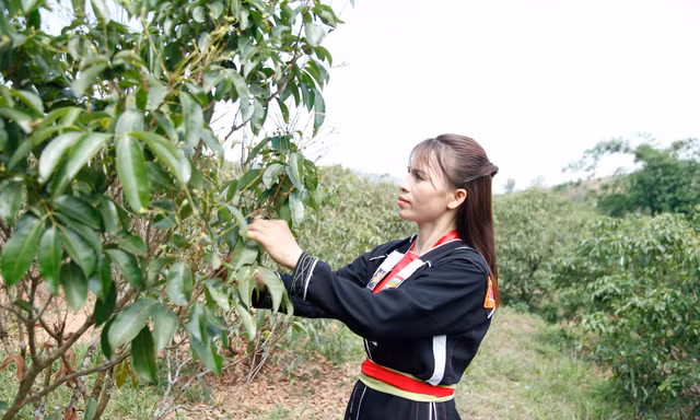Chị Lục Thị Hương là gương thoát nghèo vươn lên làm giàu tiêu biểu ở huyện Sơn Động. Ảnh: Nguyễn Thắng