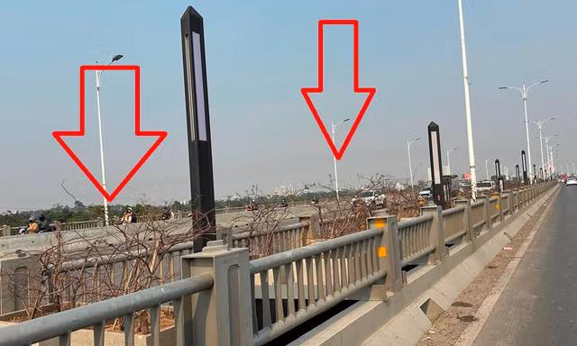 Cây xanh trên cầu Vĩnh Tuy 2 chết khô