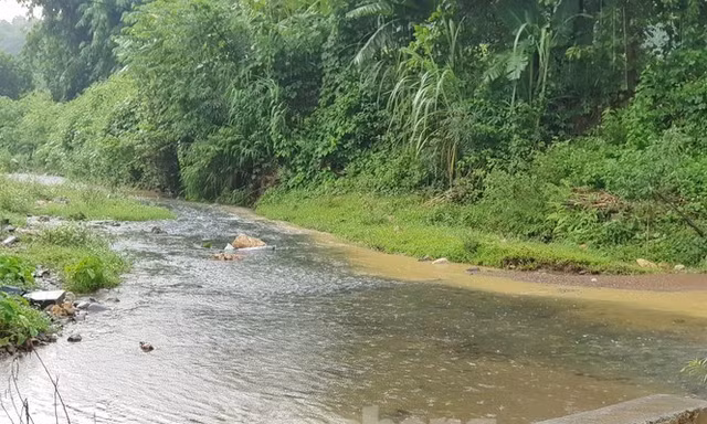 Mặc dù ngày 13/10 trời có mưa, nhưng màu nước sông dẫn vào Nhà máy nước Sông Đà vẫn chuyển sang màu đen. Ảnh: Trần Hoàng