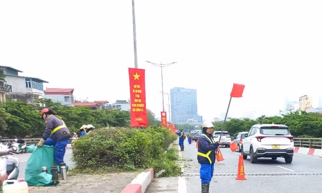 Hà Nội cắt tỉa cây xanh, chỉnh trang đường phố trên diện rộng