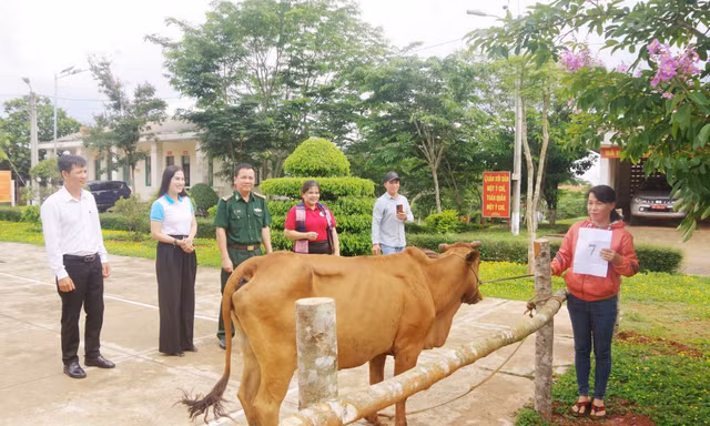 Đồng hành cùng phụ nữ biên cương, giúp 1.324 hộ dân Đắk Nông thoát nghèo 