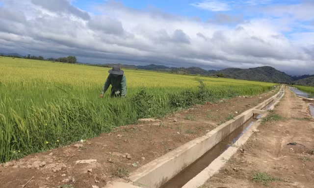 Khởi tố vụ án nâng khống công trình thuỷ lợi tại xã vùng sâu Đắk Lắk