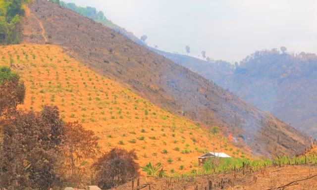 Hơn 27.000 ha rừng tự nhiên bị suy giảm, Đắk Lắk kiểm điểm 90 cá nhân