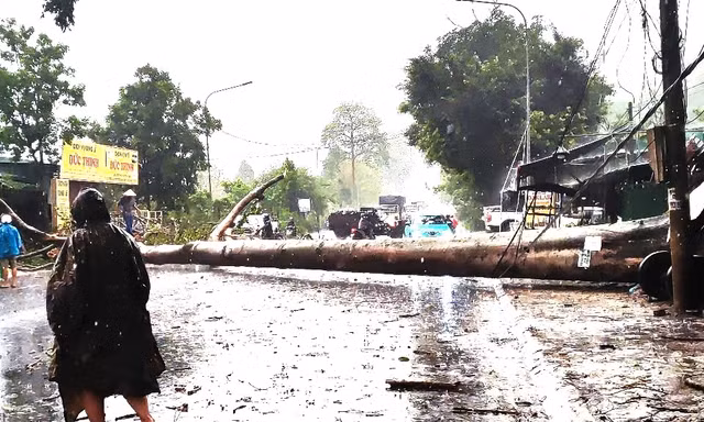 Mưa lớn kèm đá quật ngã cây đè trúng xe cứu thương 