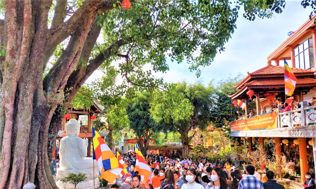 Thành tâm gửi mong cầu vào cây ước nguyện đầu xuân