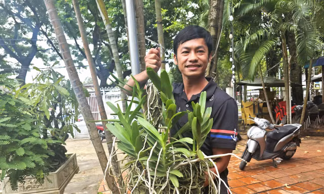 Tìm được loài lan quý hiếm nhờ… bị voi rừng đuổi