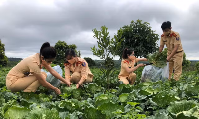 Cán bộ chiến sĩ Phòng CSGT đưa rau củ quả lên chuyến xe 0 đồng