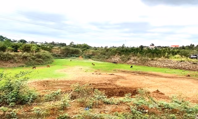 Hồ đập cạn trơ đáy, cà phê sắp 'chết khát' giữa mùa khô