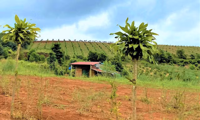 Đề nghị thu hồi giấy phép doanh nghiệp tự ý bán đất, chây ì nộp thuế 