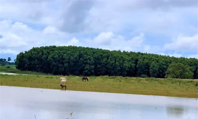 Sẽ di dời có lộ trình trang trại của nguyên Bí thư Tỉnh ủy Đắk Lắk khỏi khu bảo tồn